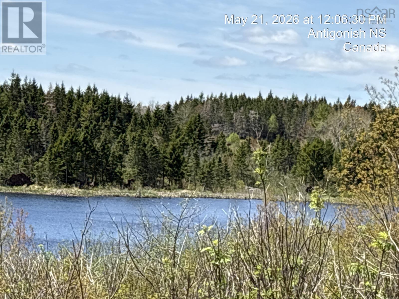 2897 Highway#7, Ashdale, Nova Scotia  B2G 2L3 - Photo 10 - 202613412