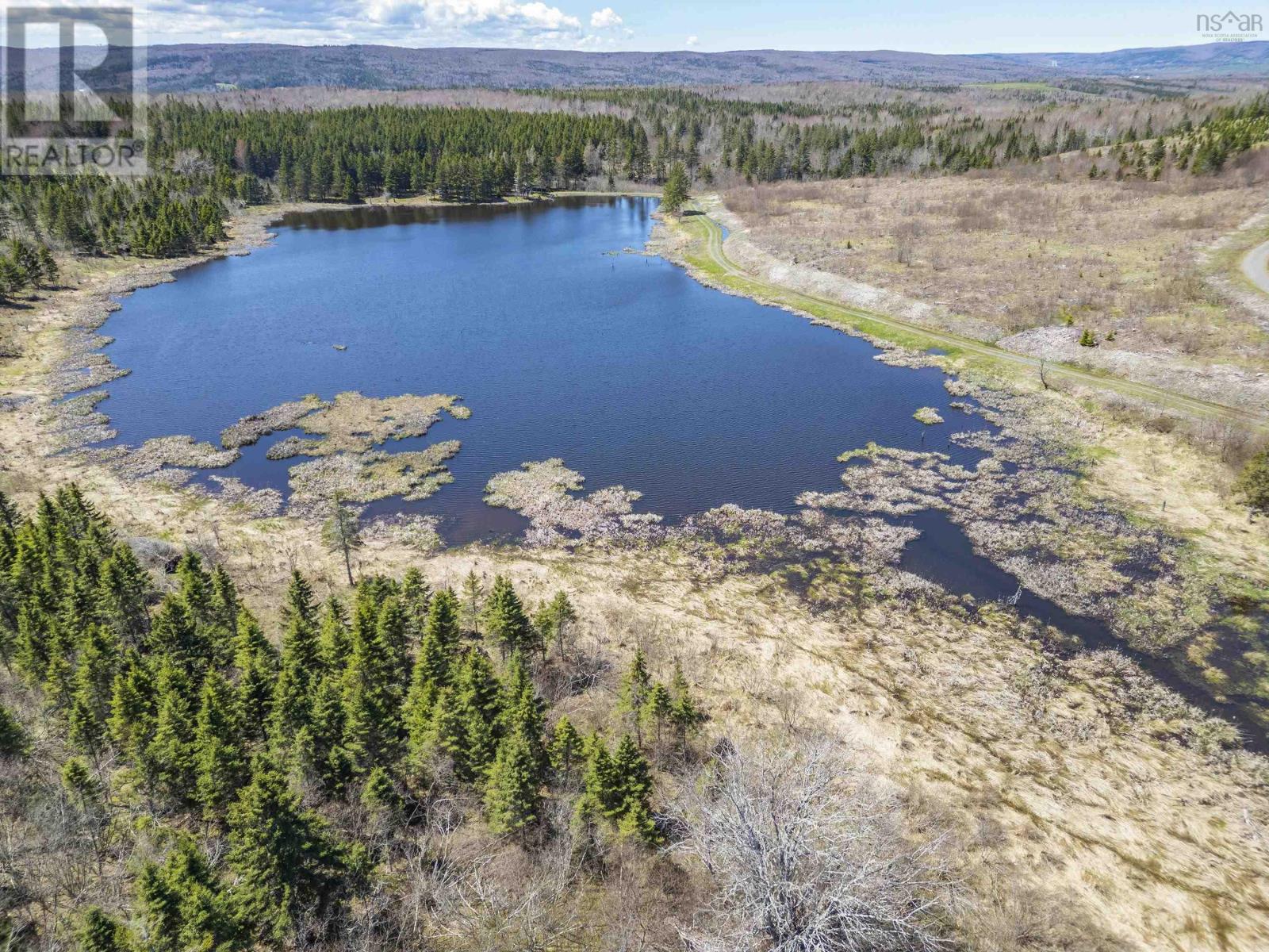 2897 Highway#7, Ashdale, Nova Scotia  B2G 2L3 - Photo 5 - 202613412