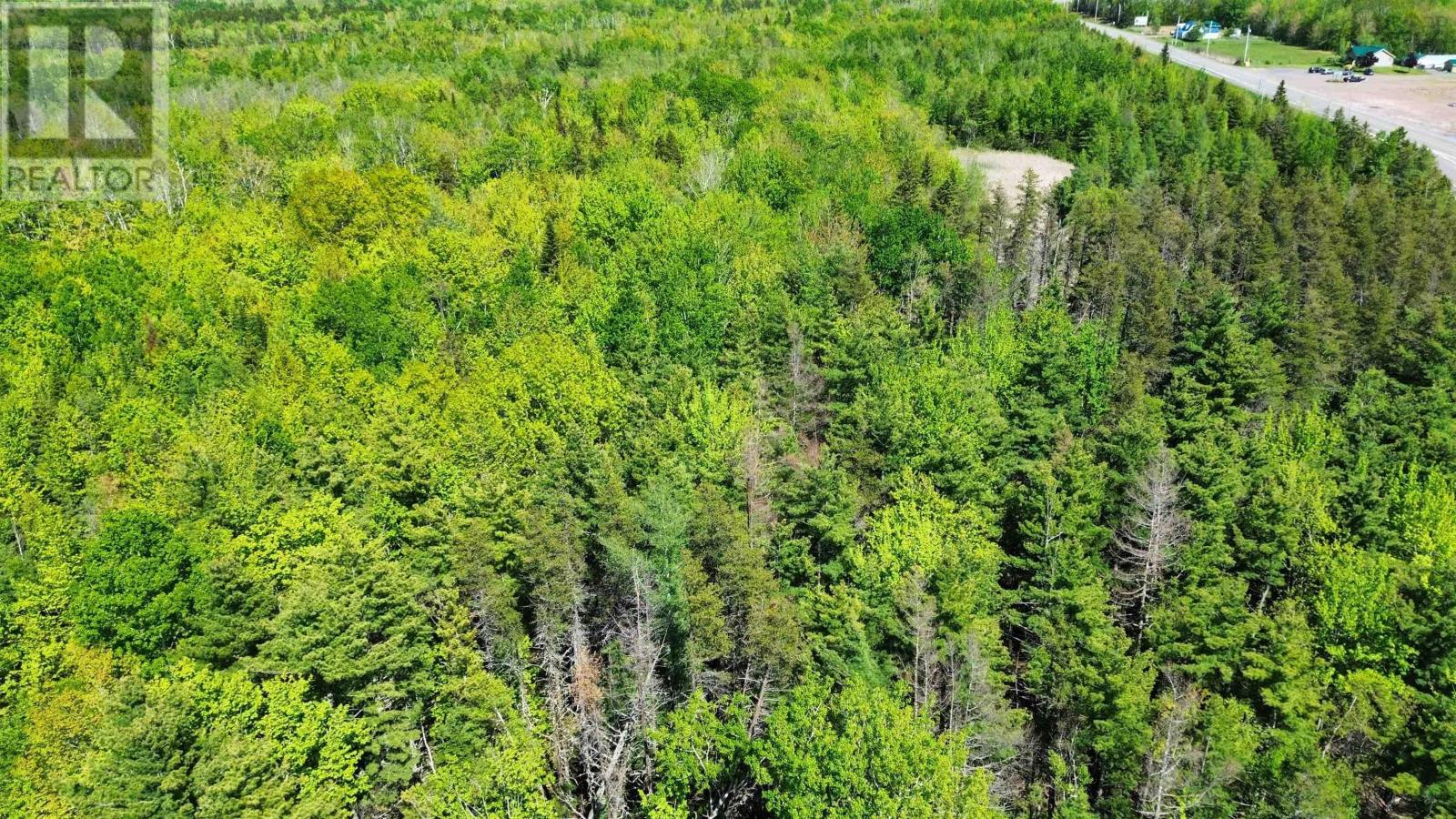 V/l 368 Highway, Wentworth, Nova Scotia  B0M 1Z0 - Photo 3 - 202613447