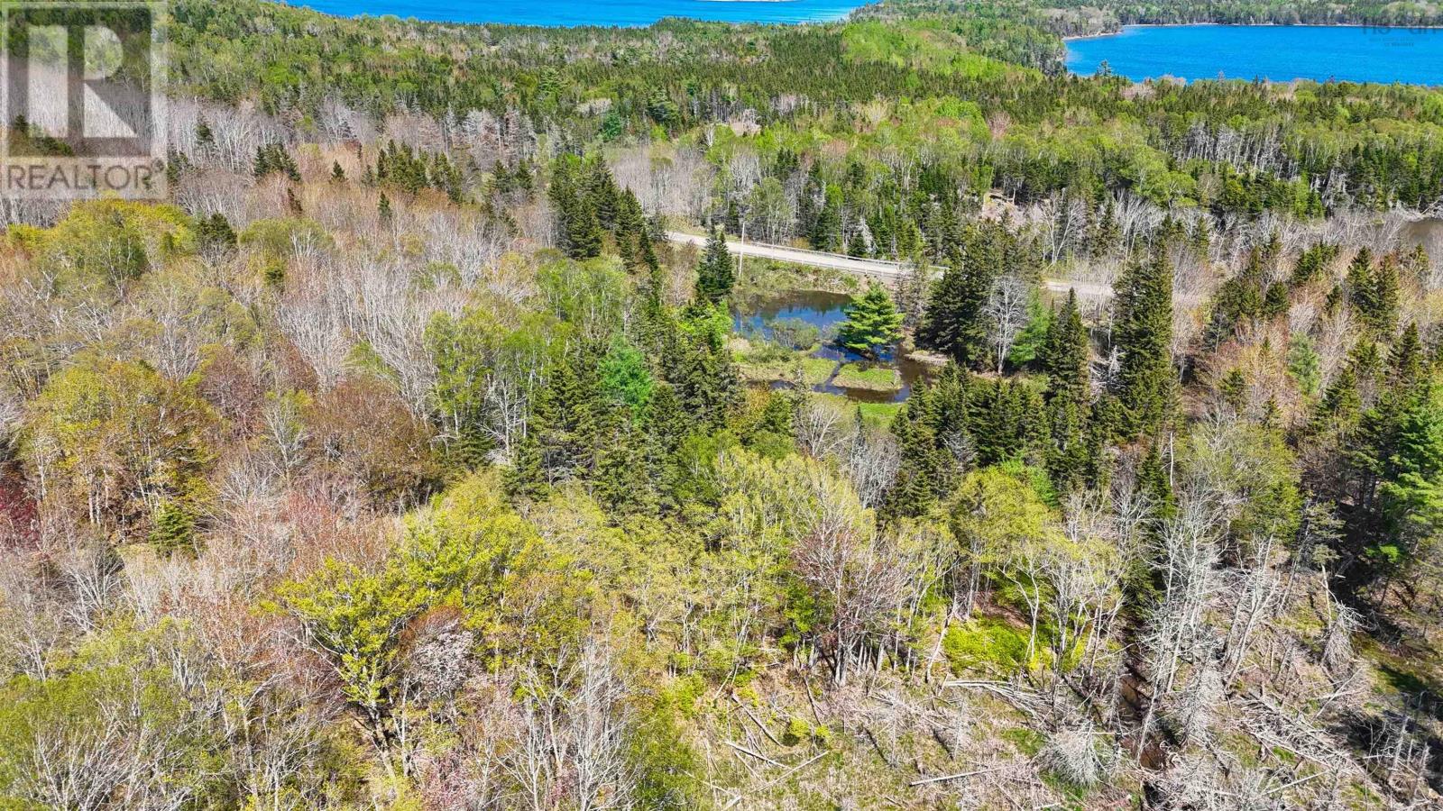7004 Marble Mountain Road, Malagawatch, Nova Scotia  B0E 2Y0 - Photo 11 - 202613508