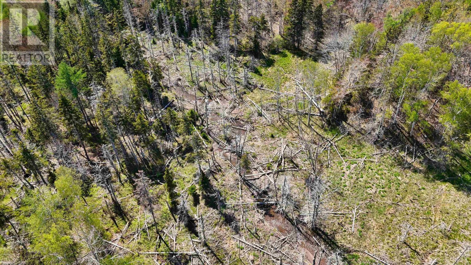 7004 Marble Mountain Road, Malagawatch, Nova Scotia  B0E 2Y0 - Photo 16 - 202613508
