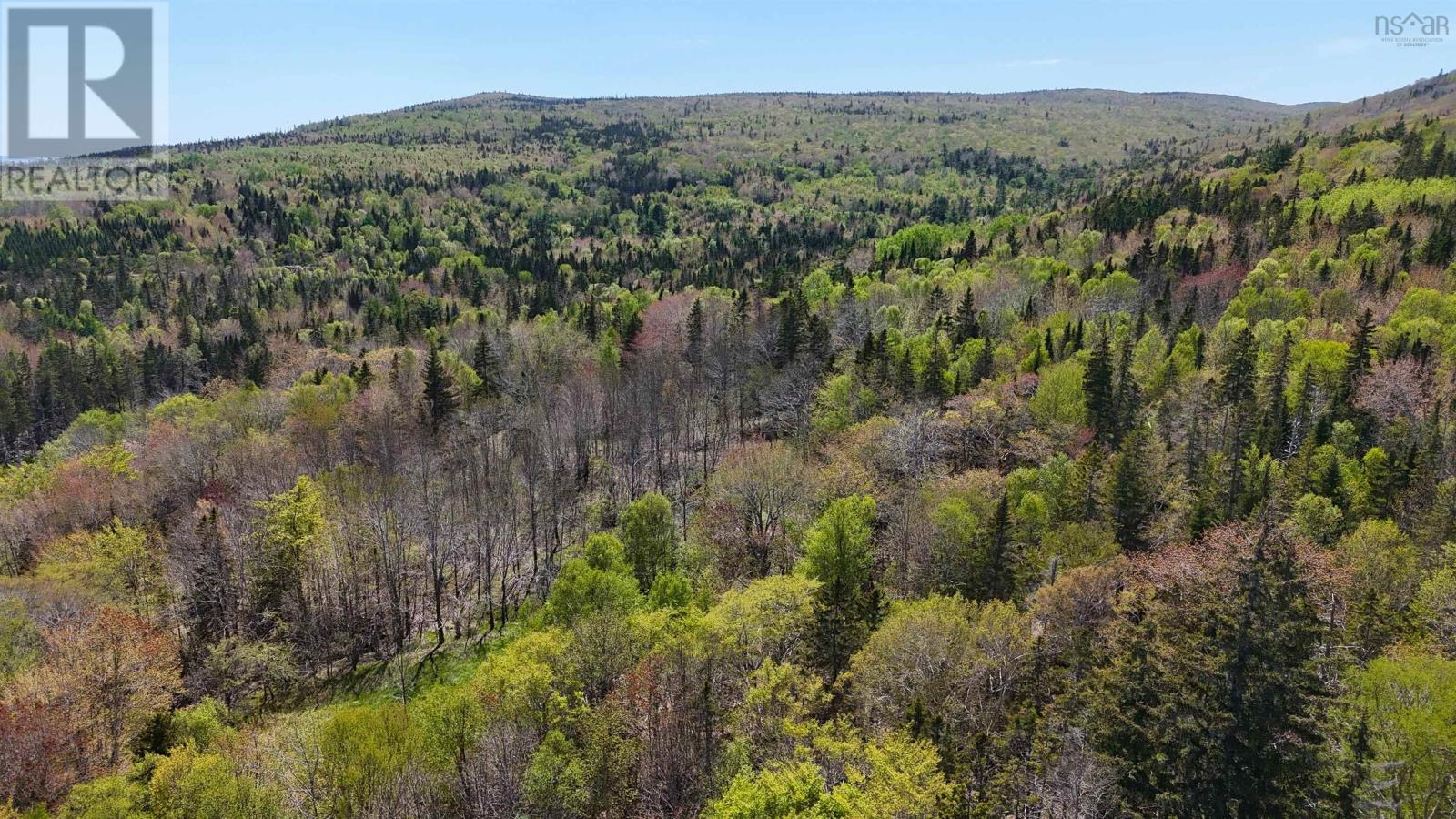 7004 Marble Mountain Road, Malagawatch, Nova Scotia  B0E 2Y0 - Photo 17 - 202613508