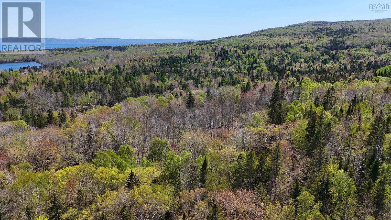 7004 Marble Mountain Road, Malagawatch, Nova Scotia  B0E 2Y0 - Photo 18 - 202613508