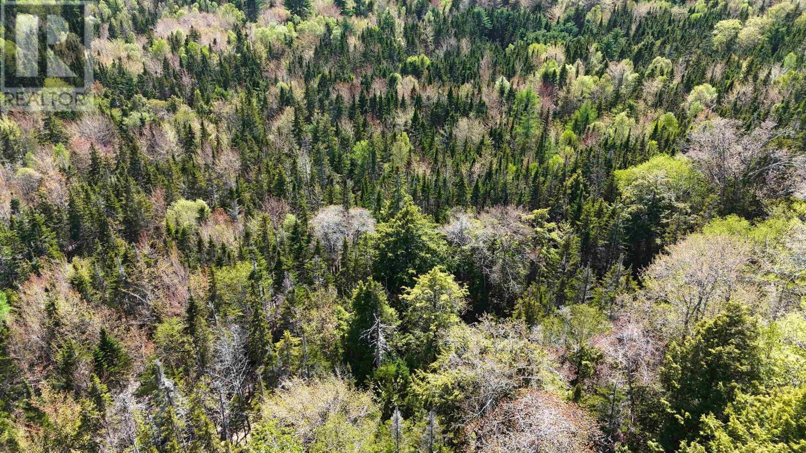 7004 Marble Mountain Road, Malagawatch, Nova Scotia  B0E 2Y0 - Photo 26 - 202613508
