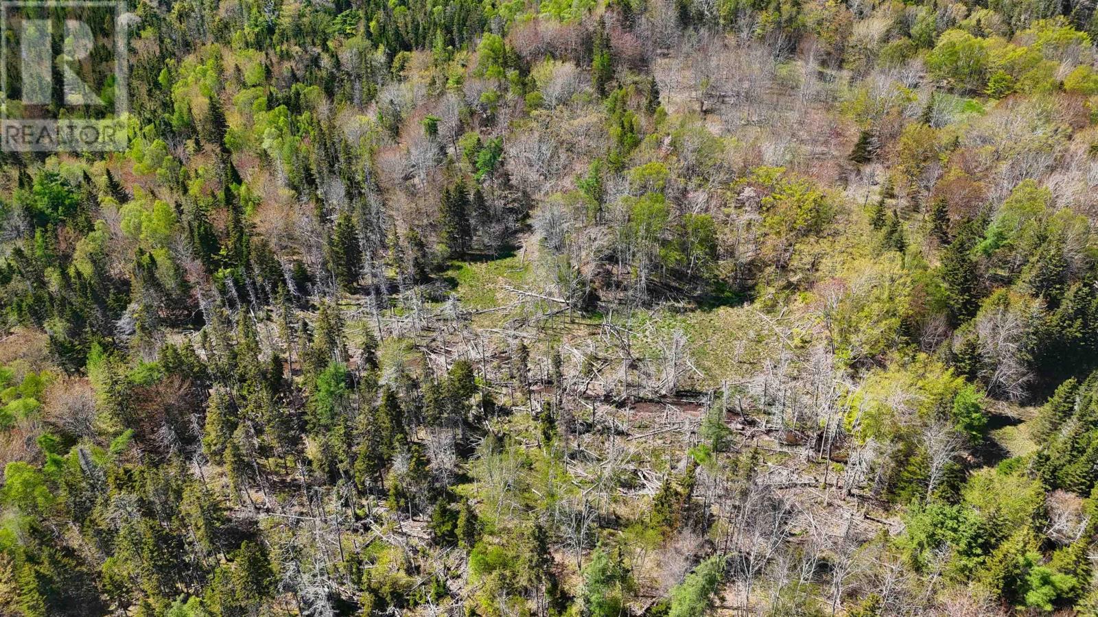 7004 Marble Mountain Road, Malagawatch, Nova Scotia  B0E 2Y0 - Photo 27 - 202613508