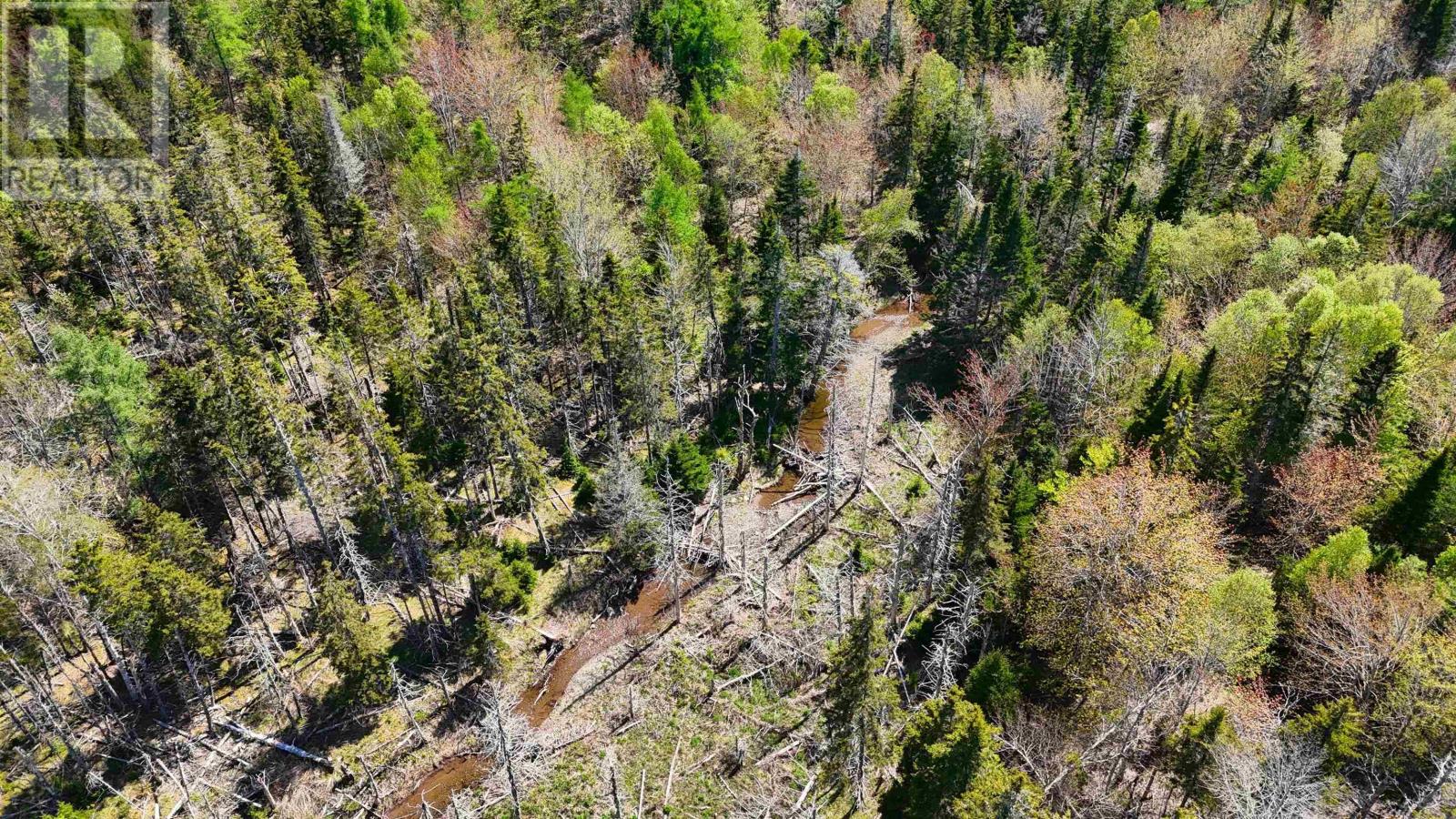 7004 Marble Mountain Road, Malagawatch, Nova Scotia  B0E 2Y0 - Photo 28 - 202613508
