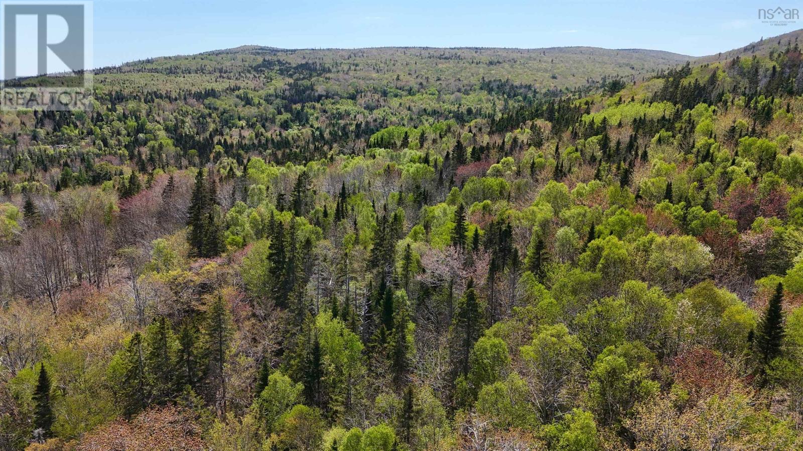 7004 Marble Mountain Road, Malagawatch, Nova Scotia  B0E 2Y0 - Photo 29 - 202613508
