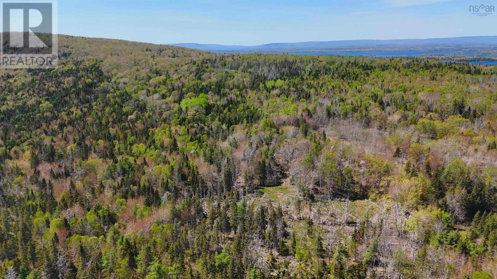 7004 Marble Mountain Road, Malagawatch, Nova Scotia  B0E 2Y0 - Photo 30 - 202613508