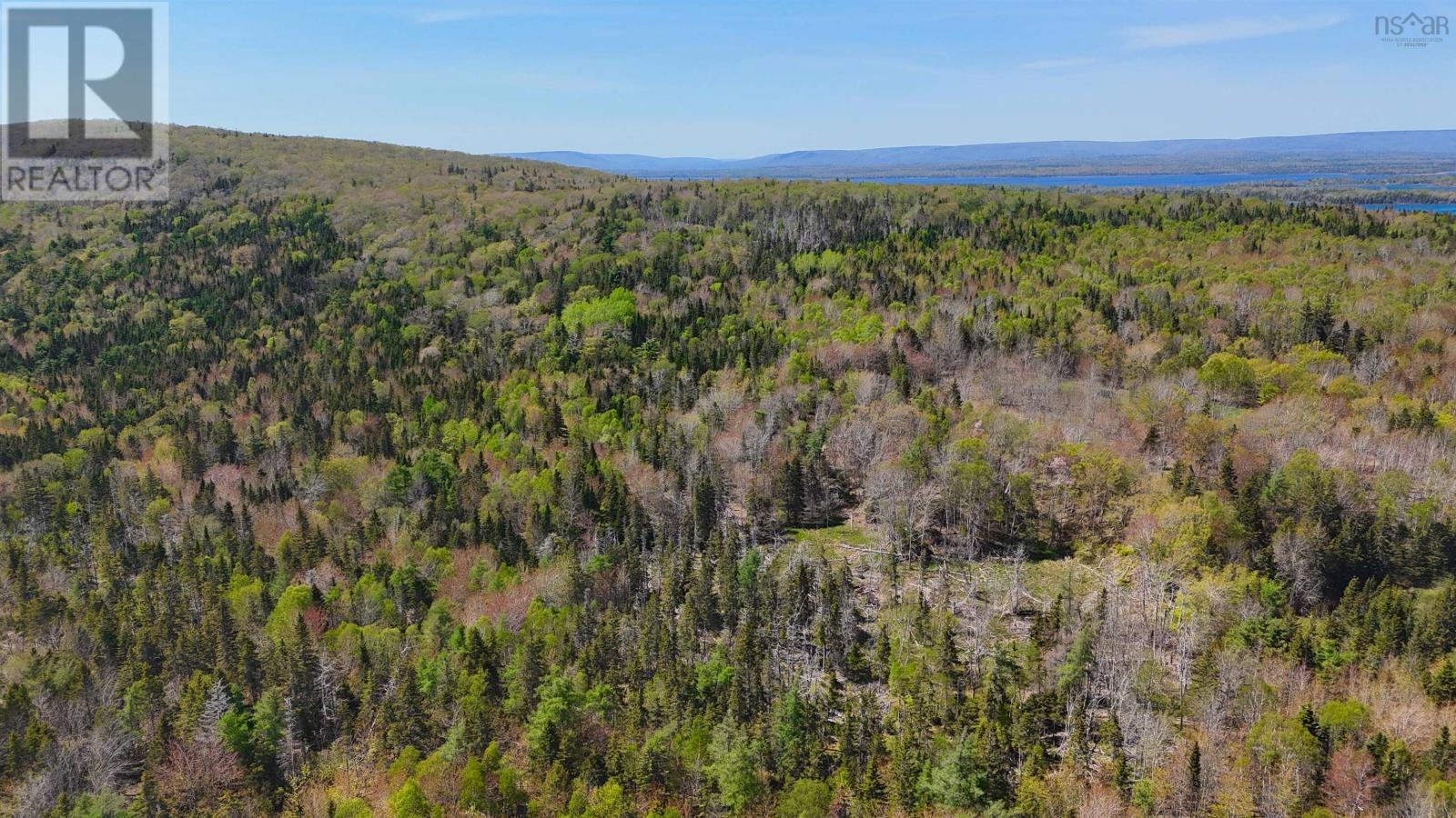 7004 Marble Mountain Road, Malagawatch, Nova Scotia  B0E 2Y0 - Photo 4 - 202613508