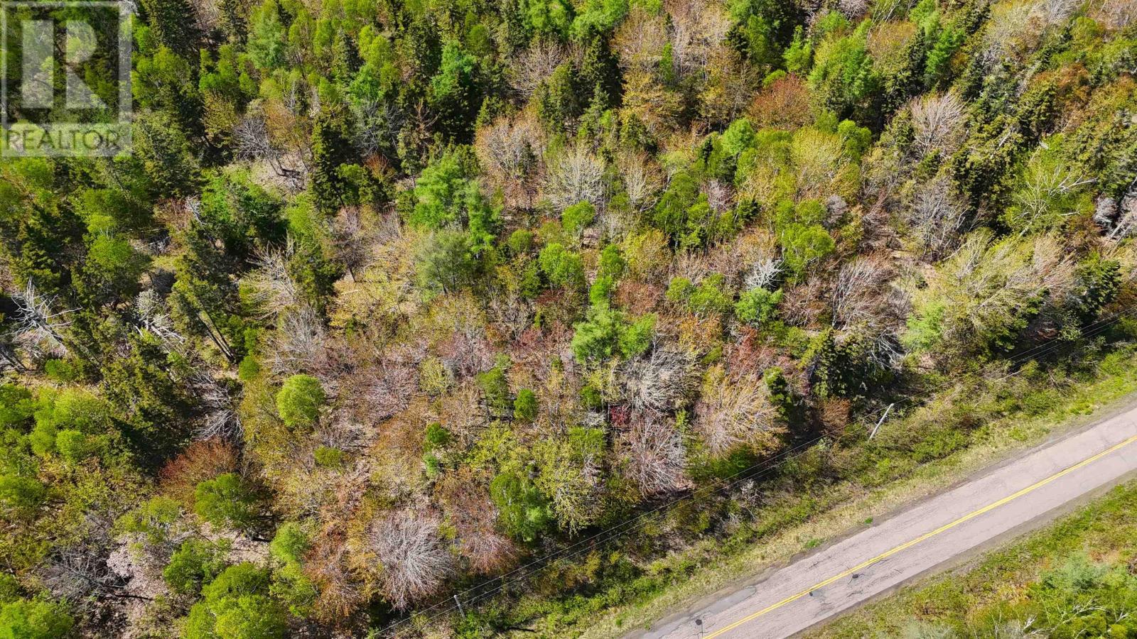 7004 Marble Mountain Road, Malagawatch, Nova Scotia  B0E 2Y0 - Photo 5 - 202613508