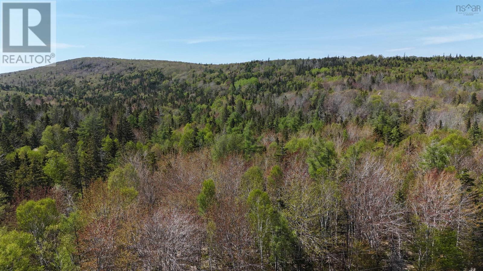 7004 Marble Mountain Road, Malagawatch, Nova Scotia  B0E 2Y0 - Photo 7 - 202613508