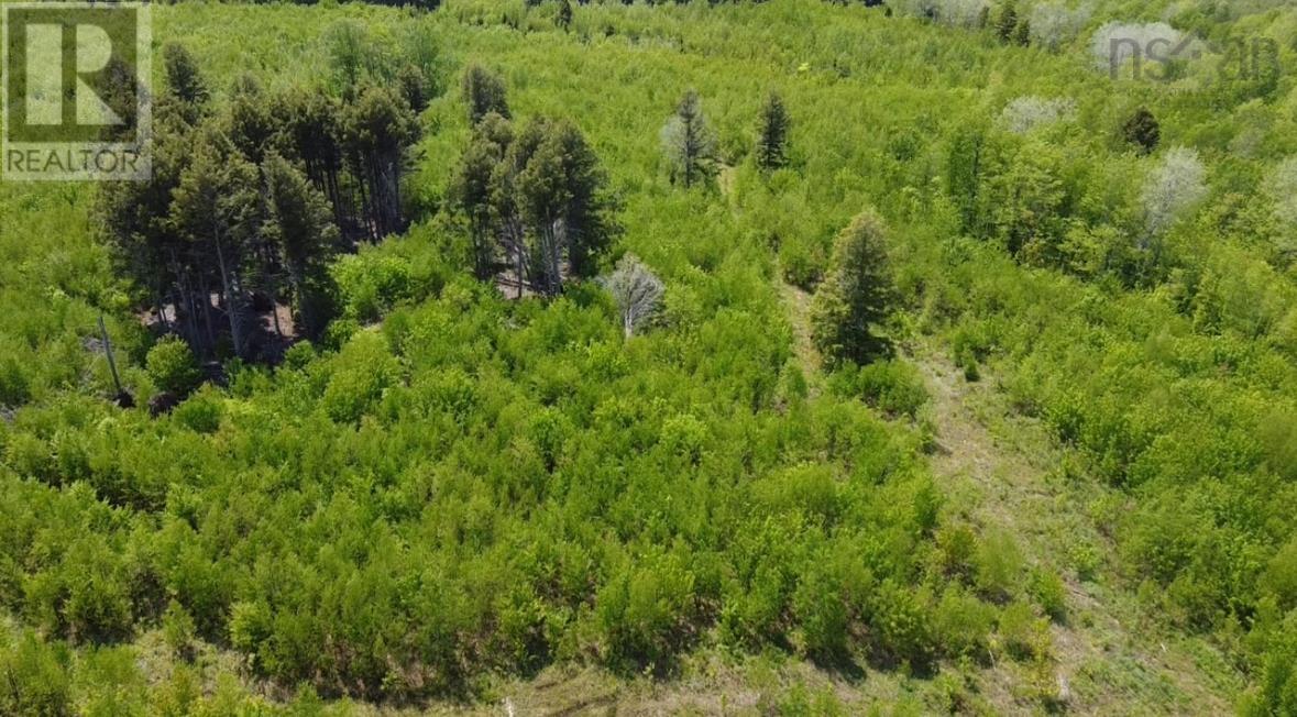 93a Junction Road, Springhill, Nova Scotia  B0M 1X0 - Photo 2 - 202613524