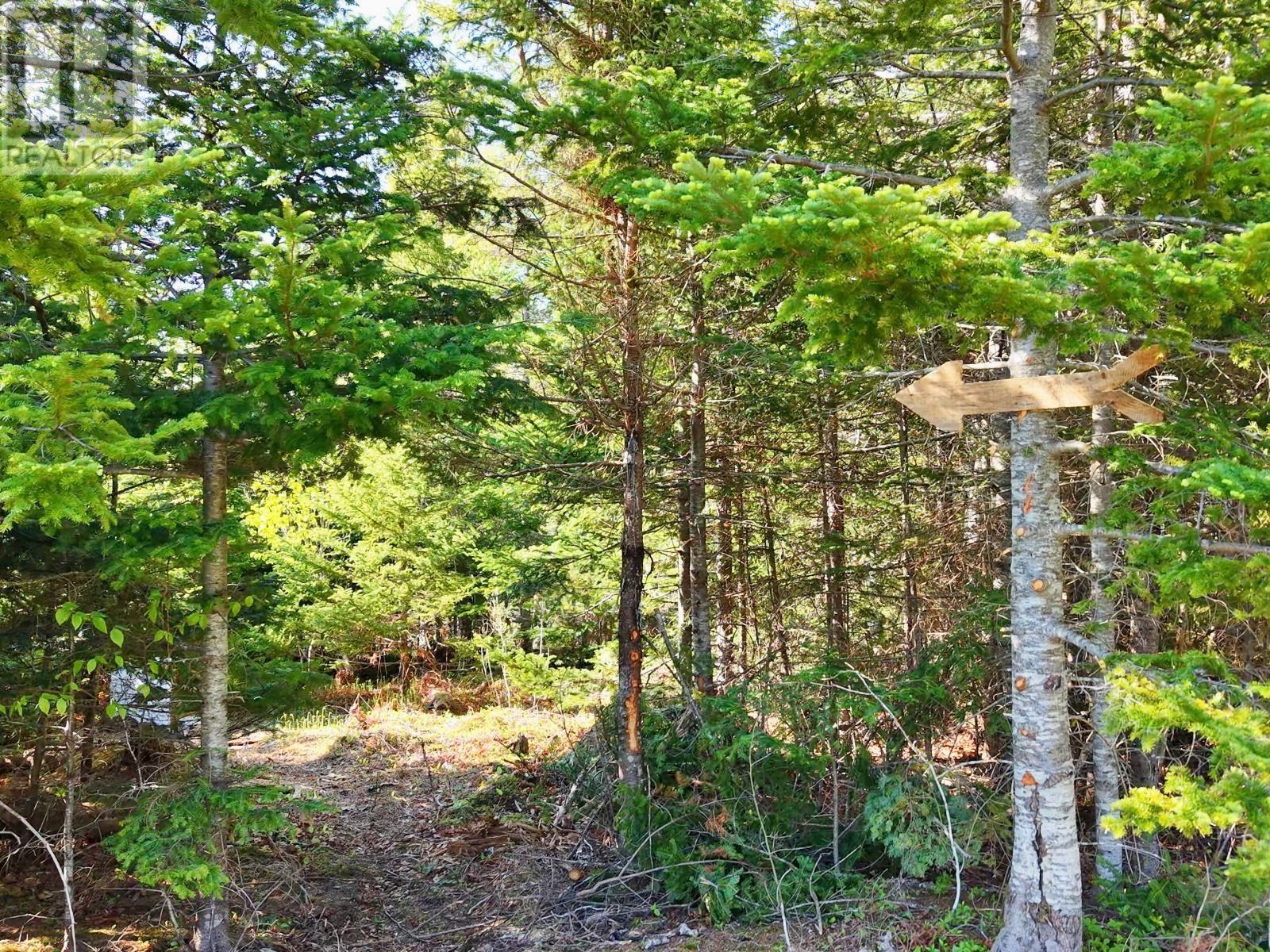 9054 East Bay Highway, Middle Cape, Nova Scotia  B1J 2A4 - Photo 28 - 202613526