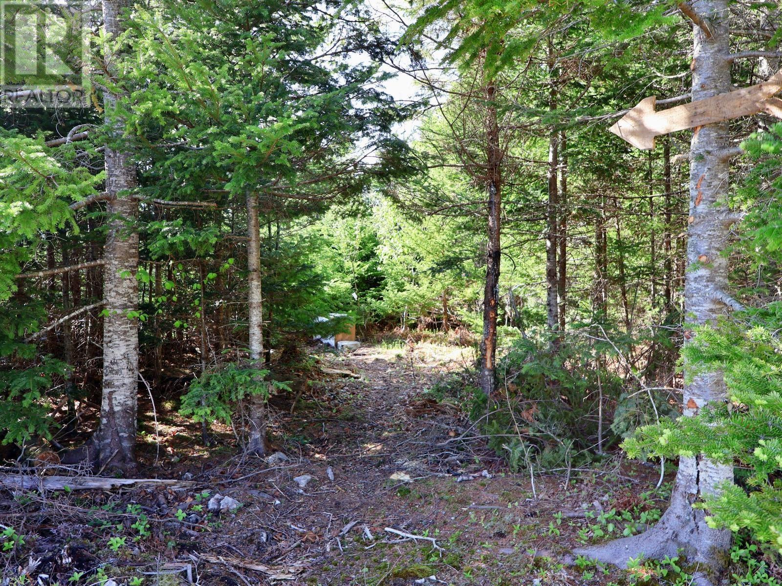 9054 East Bay Highway, Middle Cape, Nova Scotia  B1J 2A4 - Photo 29 - 202613526