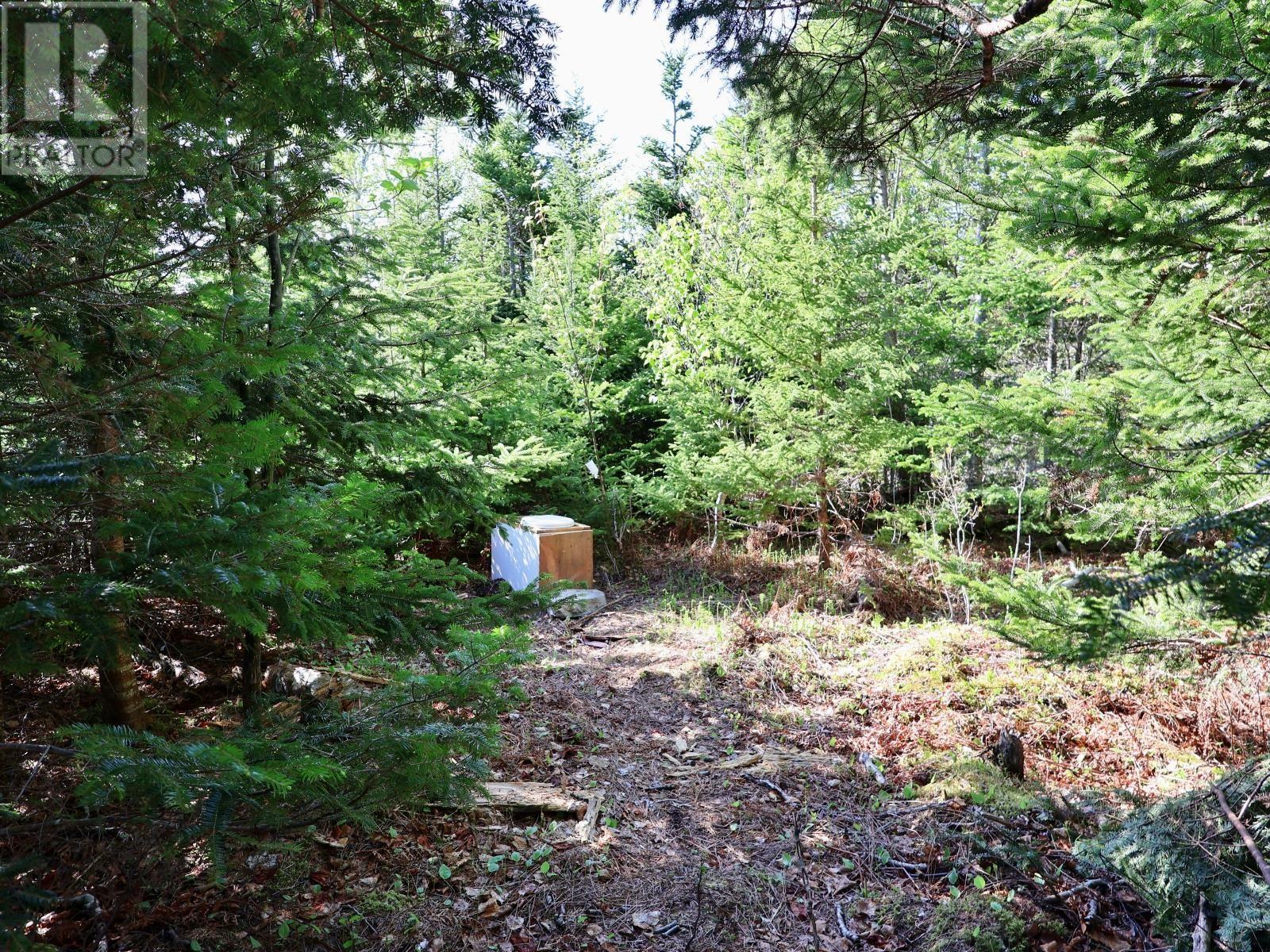 9054 East Bay Highway, Middle Cape, Nova Scotia  B1J 2A4 - Photo 30 - 202613526