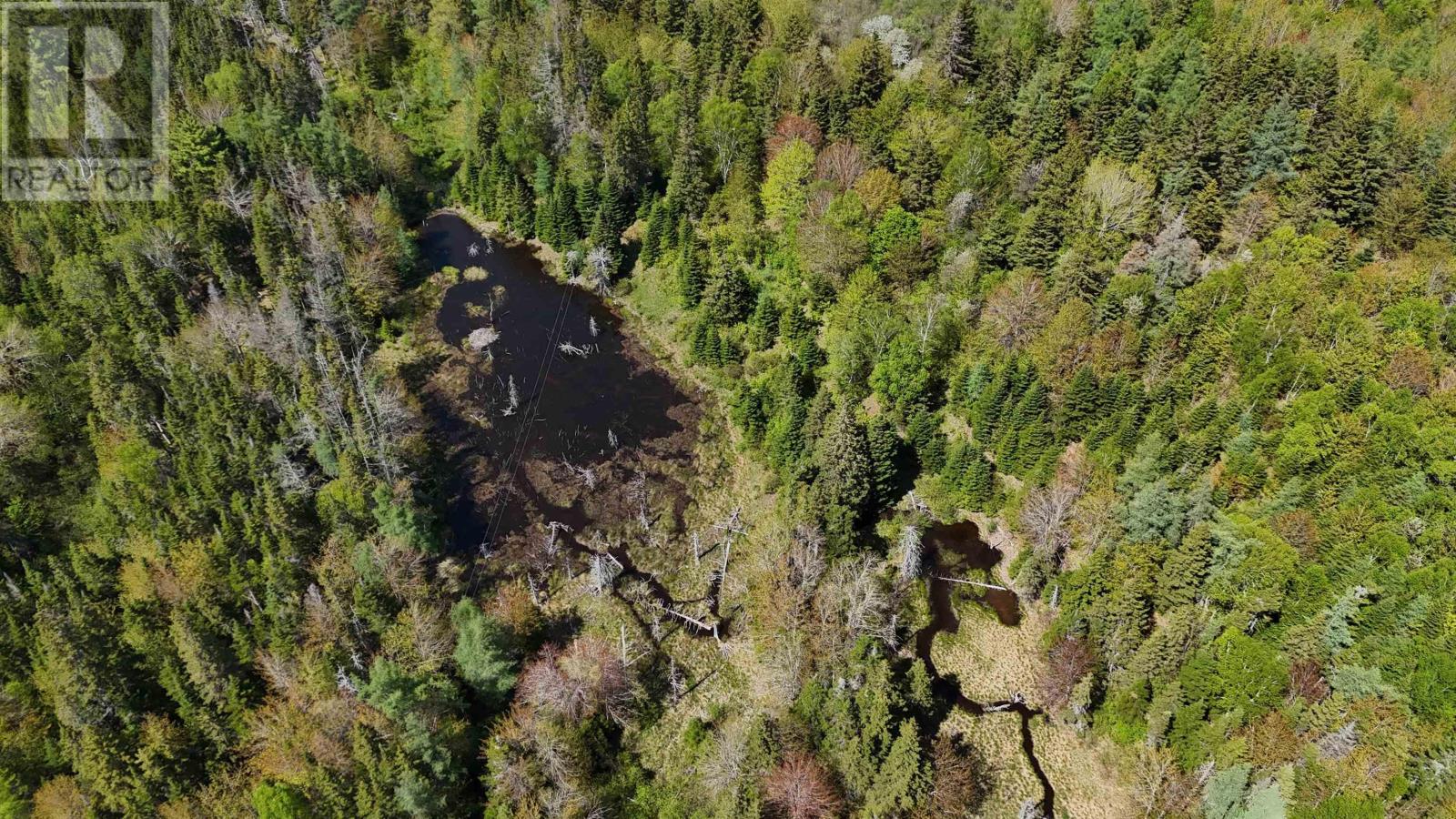 124 Stoney Point Rd, Orangedale, Nova Scotia  B0E 2M0 - Photo 10 - 202613534