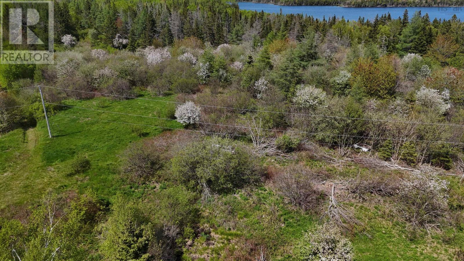 124 Stoney Point Rd, Orangedale, Nova Scotia  B0E 2M0 - Photo 12 - 202613534