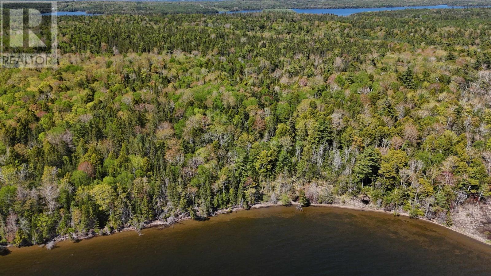 124 Stoney Point Rd, Orangedale, Nova Scotia  B0E 2M0 - Photo 15 - 202613534