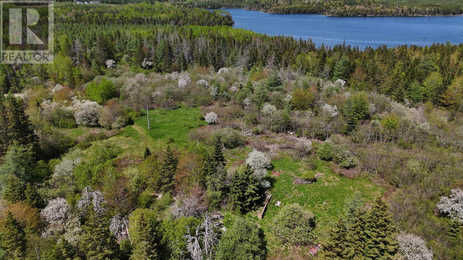 124 Stoney Point Rd, Orangedale, Nova Scotia  B0E 2M0 - Photo 7 - 202613534