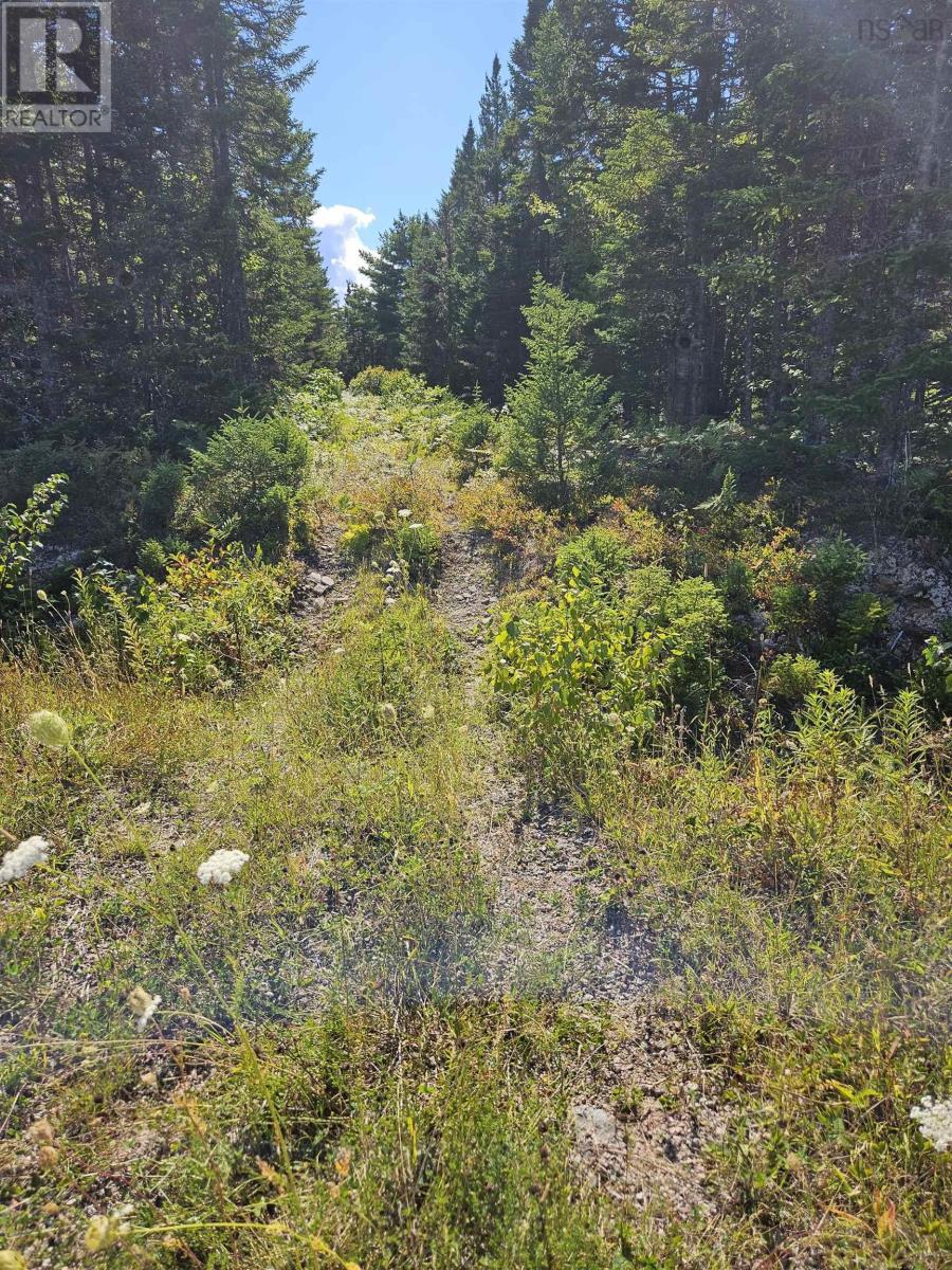 Cogswell Road, Evanston, Nova Scotia  B0E 1J0 - Photo 8 - 202613571
