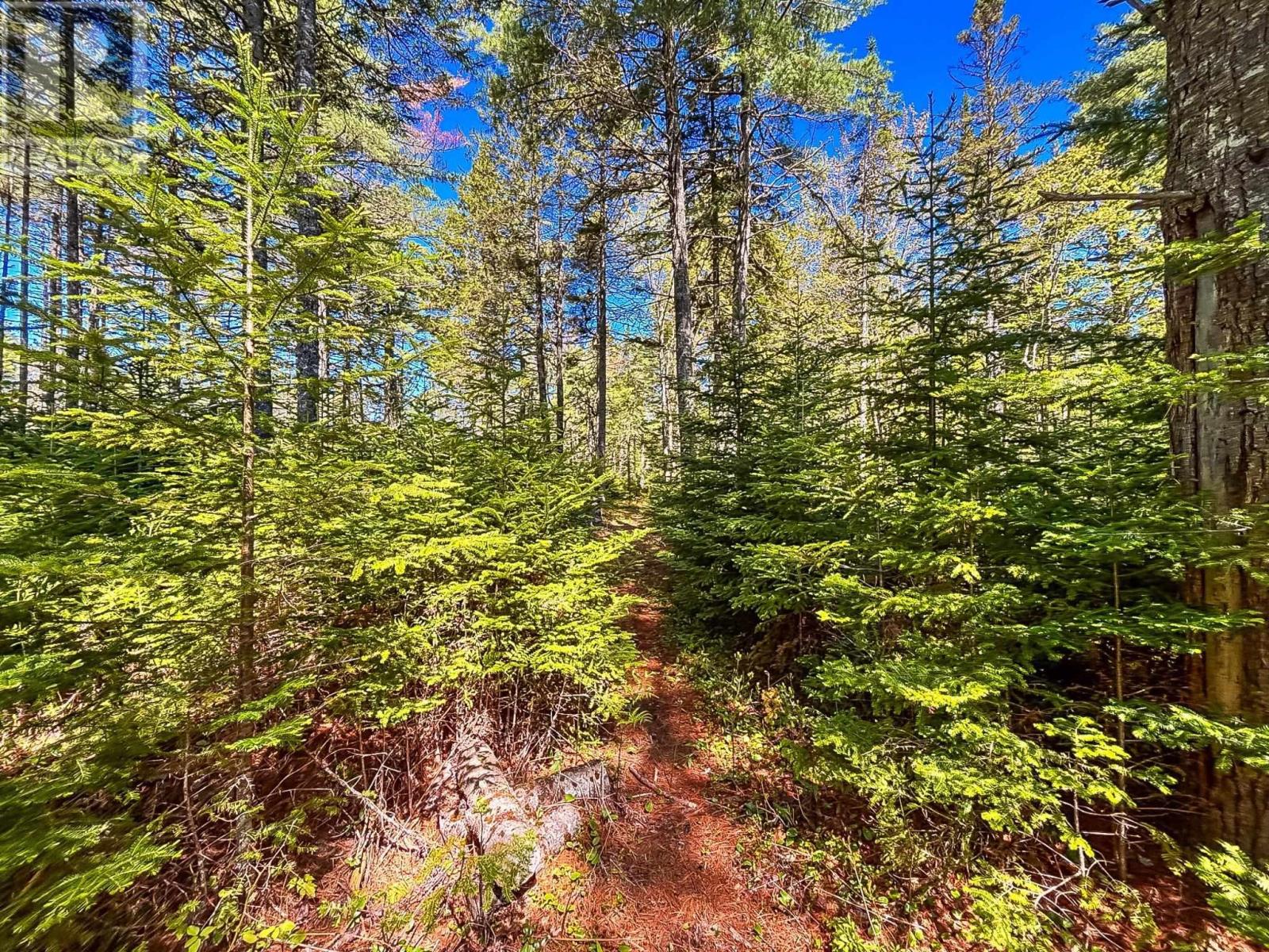 7822 Highway 3, Martins River, Nova Scotia  B0J 2E0 - Photo 24 - 202613584