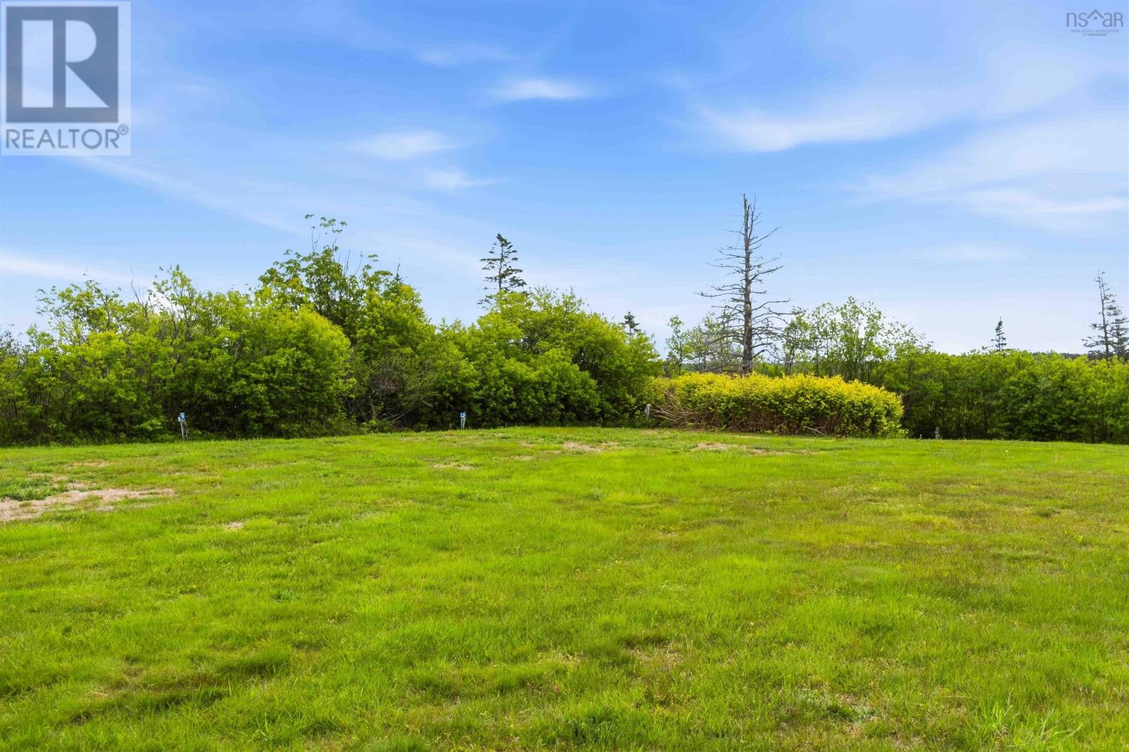 50 Whale Cove Road, Whale Cove, Nova Scotia  B0V 1E0 - Photo 34 - 202613595