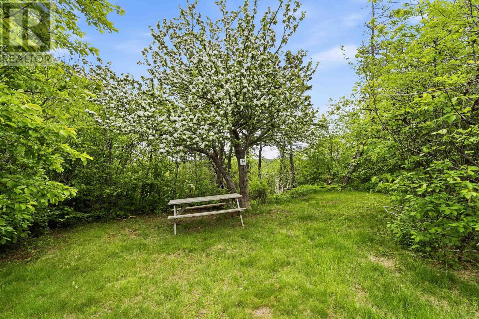 50 Whale Cove Road, Whale Cove, Nova Scotia  B0V 1E0 - Photo 41 - 202613595