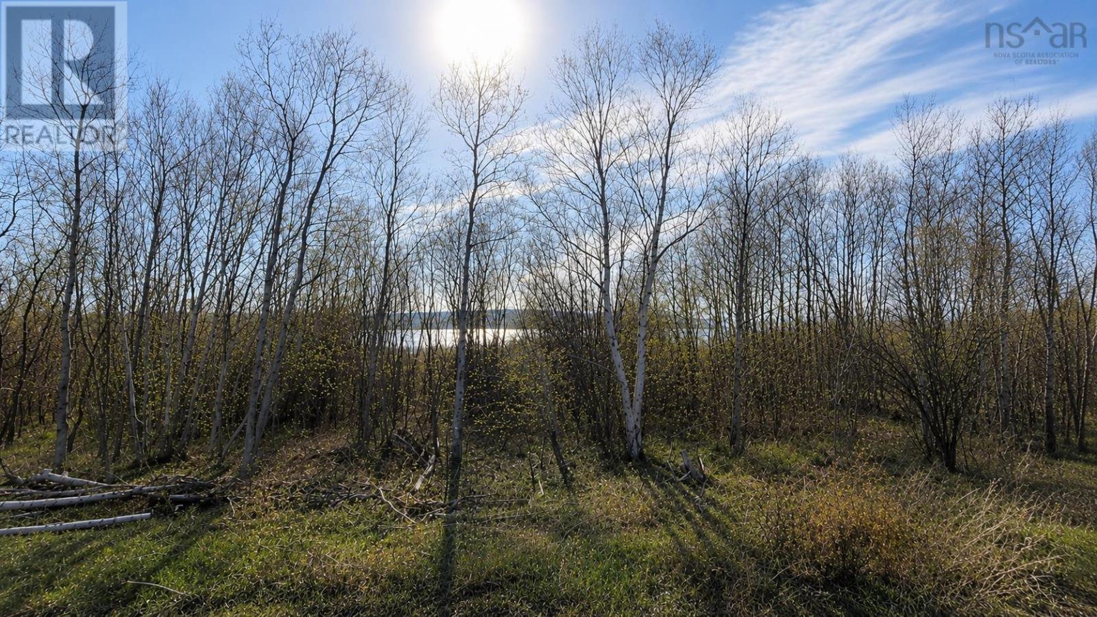 Lot 1 Cornishtown Road, South Bar, Nova Scotia  B1N 3K1 - Photo 2 - 202613725