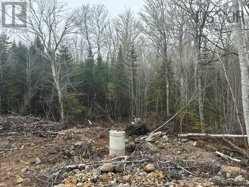 Lot 49 Turner Point Drive, Walden, Nova Scotia  B0J 2E0 - Photo 12 - 202613763