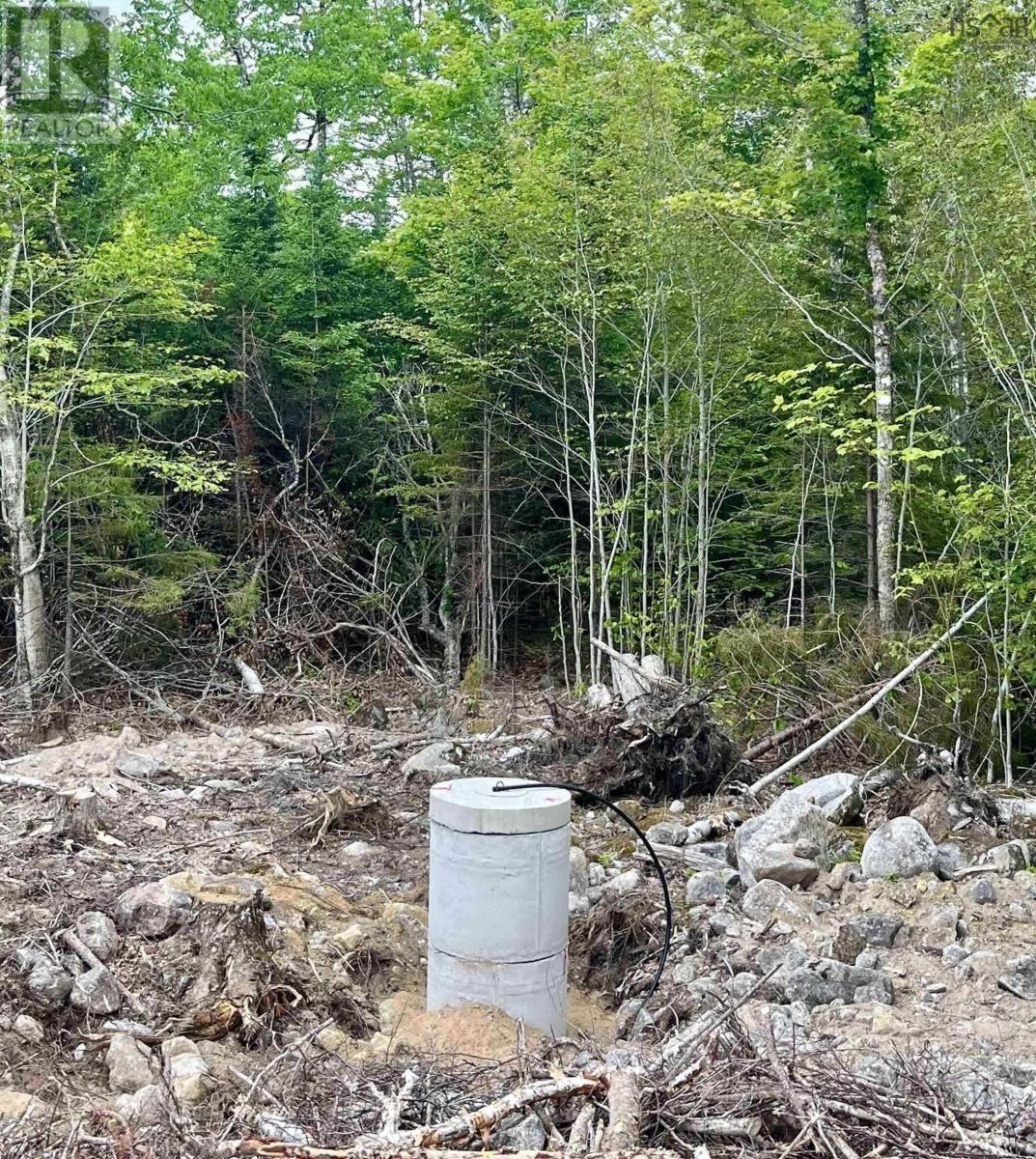 Lot 49 Turner Point Drive, Walden, Nova Scotia  B0J 2E0 - Photo 6 - 202613763