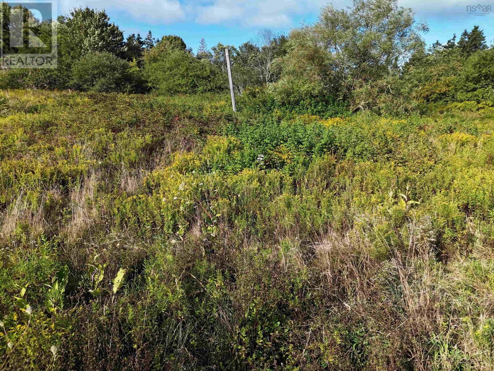 1509 Highway 308, Surettes Island, Nova Scotia  B0W 3M0 - Photo 14 - 202613948