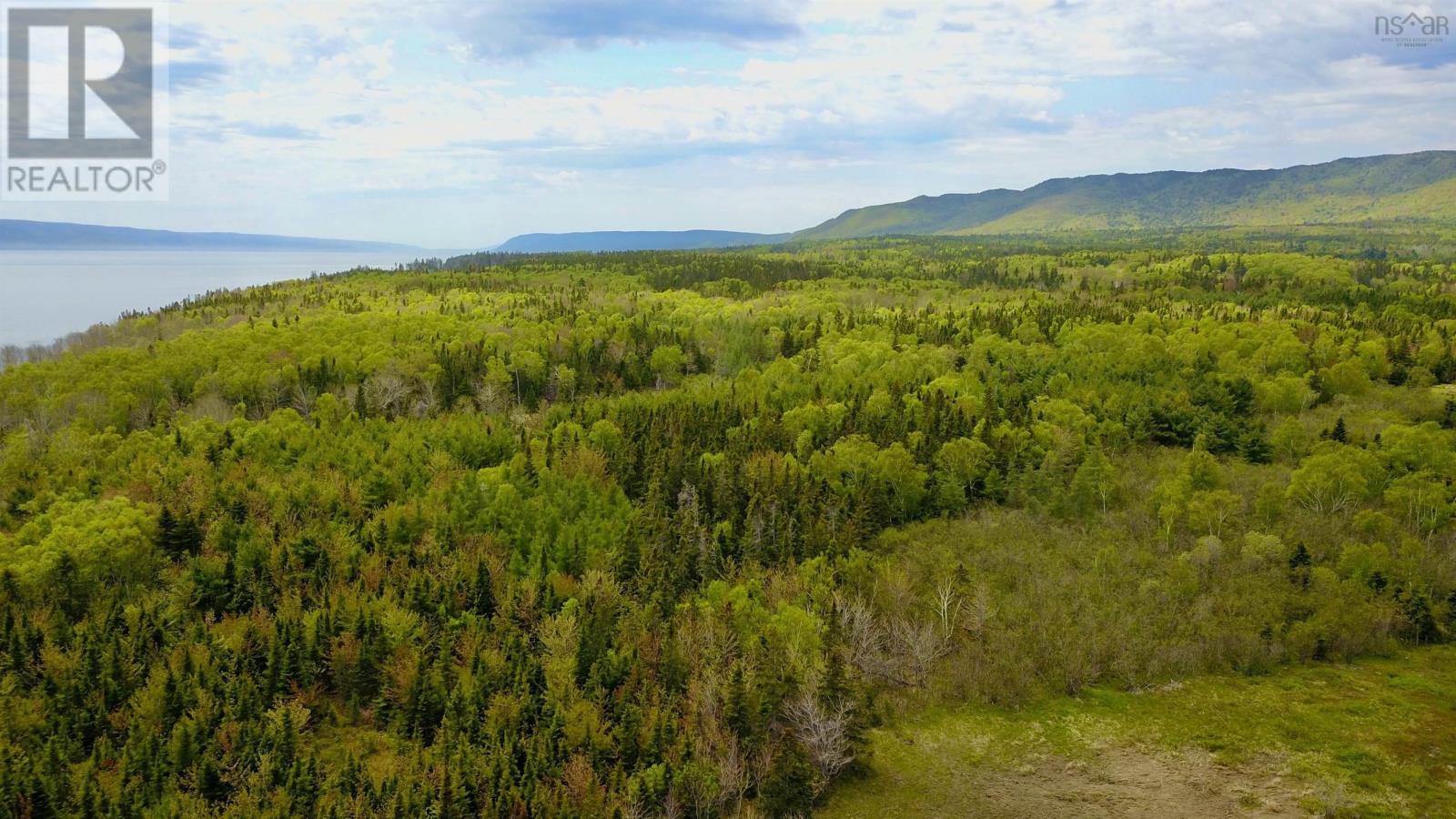 44429 Cabot Trail, Little River, Nova Scotia  B0C 1H0 - Photo 15 - 202614016