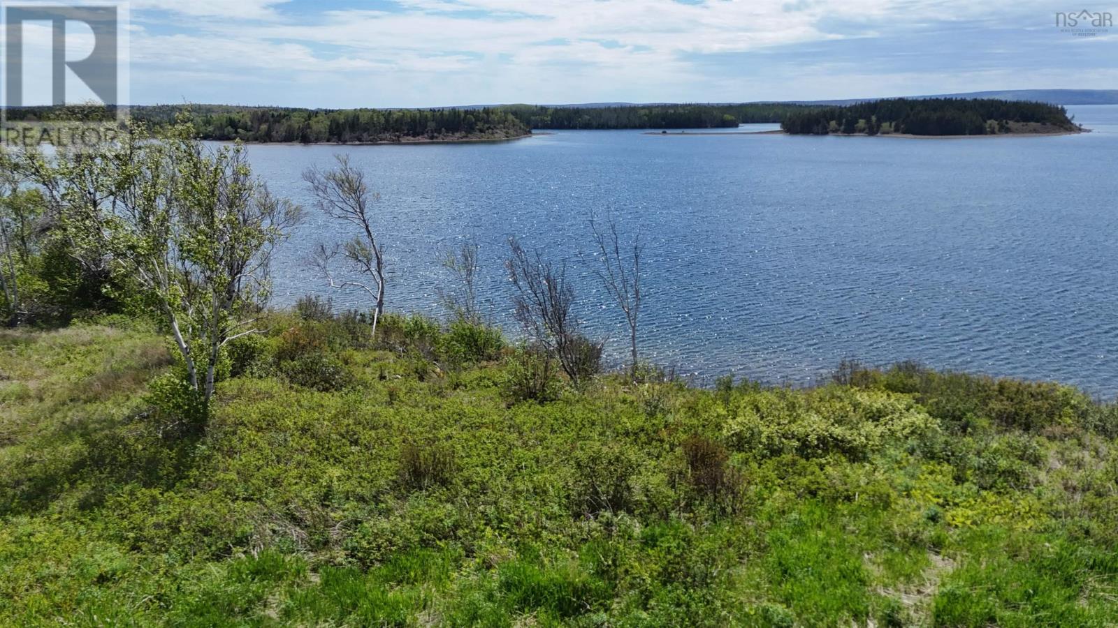 7.3 Acre Highway 4, Red Islands, Nova Scotia  B0E 3B0 - Photo 13 - 202614015