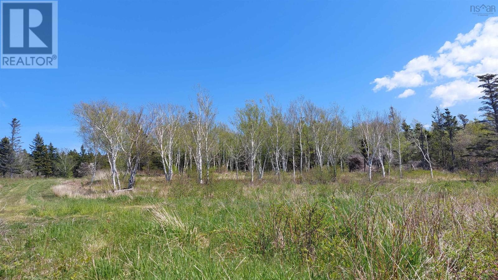7.3 Acre Highway 4, Red Islands, Nova Scotia  B0E 3B0 - Photo 5 - 202614015