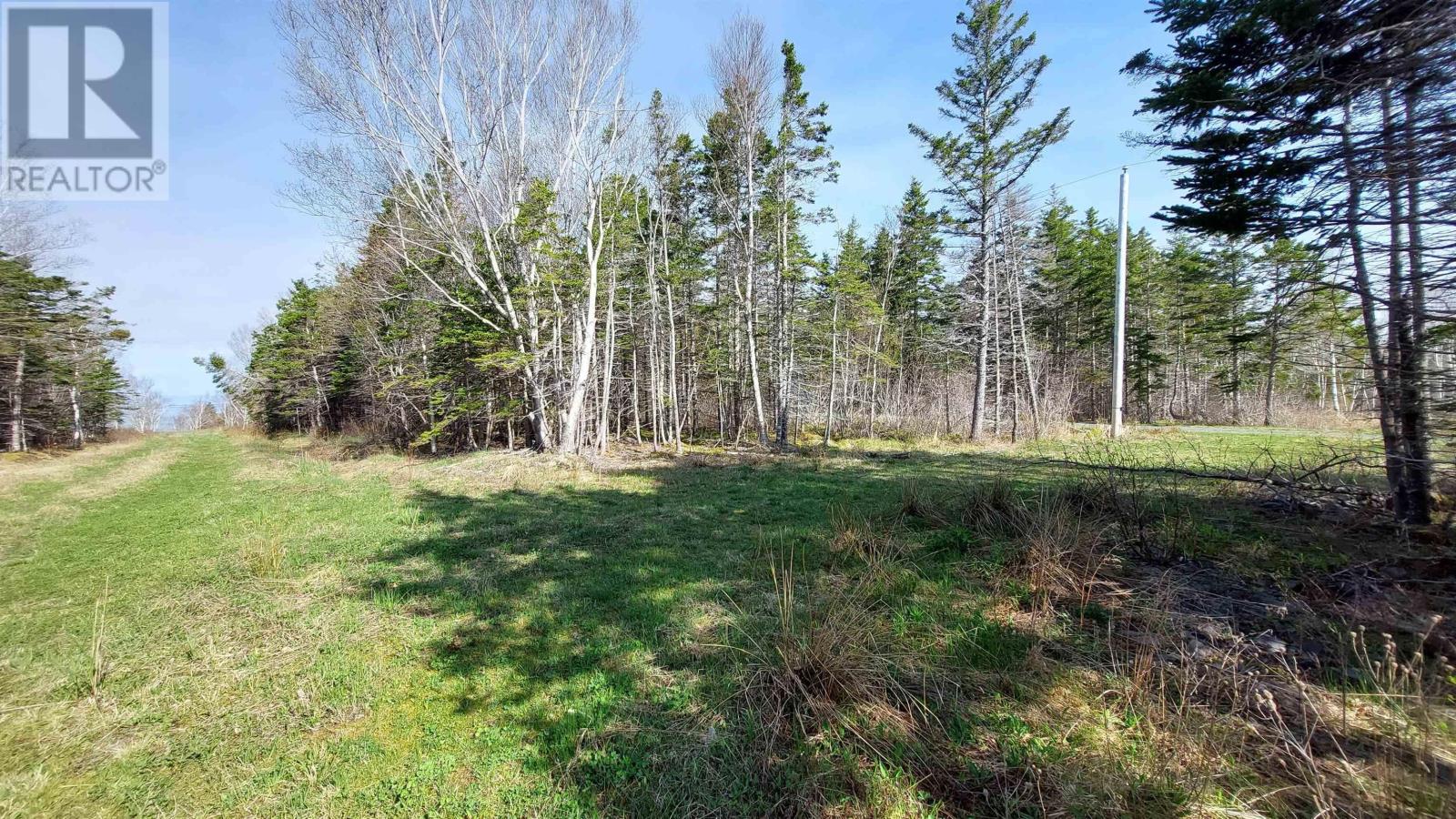 7.3 Acre Highway 4, Red Islands, Nova Scotia  B0E 3B0 - Photo 8 - 202614015