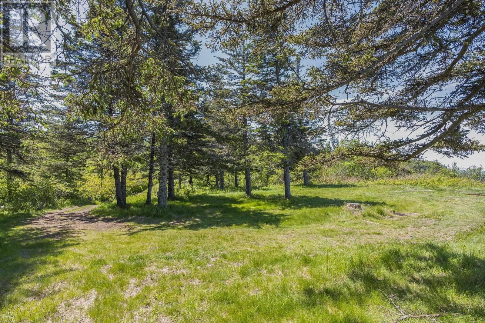 Lot Sand Bank Road, Victoria Vale, Nova Scotia  B0S 1P0 - Photo 7 - 202614402