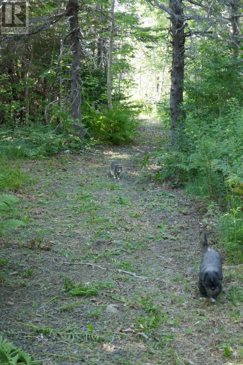 Pid#05110853 Shore Road W, Litchfield, Nova Scotia  B0S 1A0 - Photo 14 - 202614427