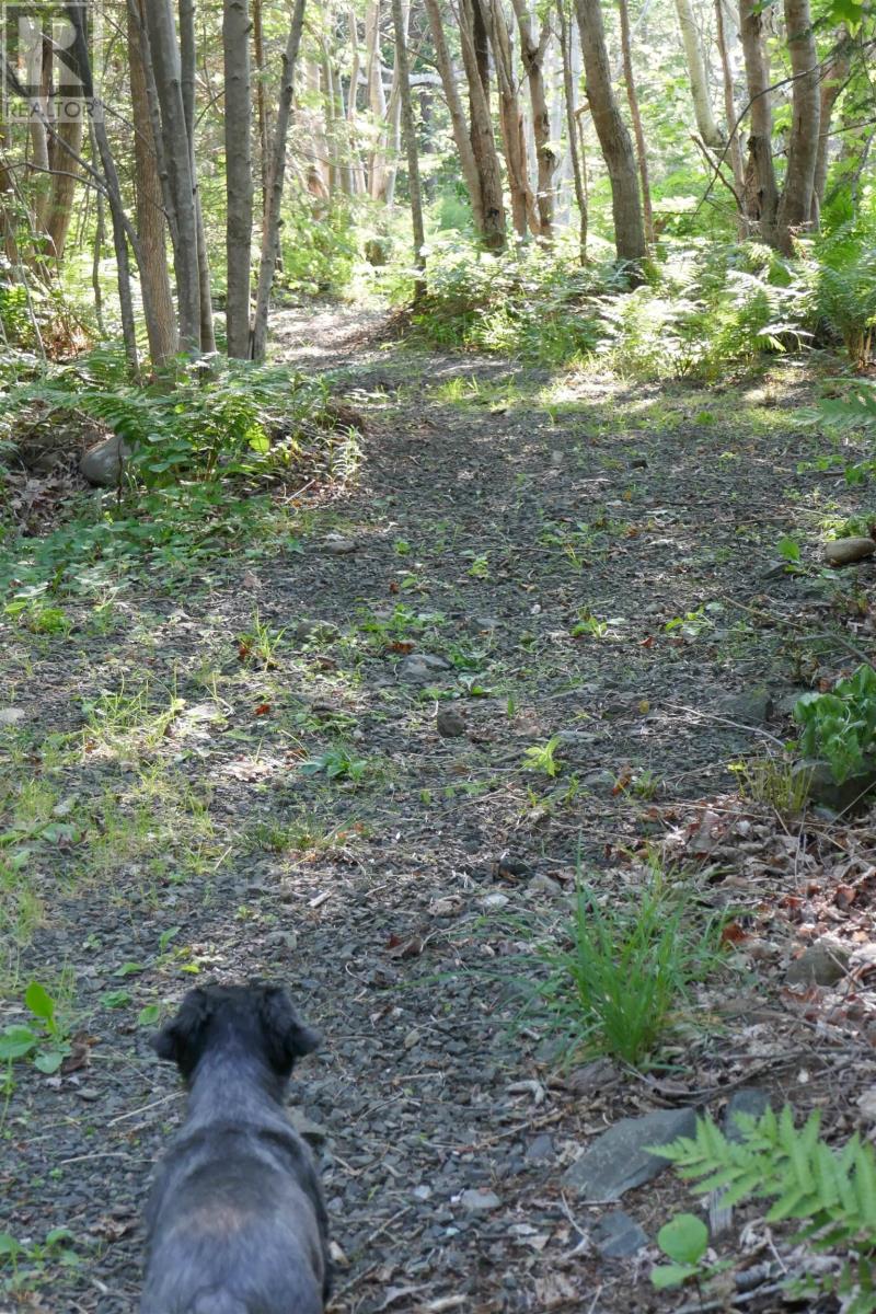 Pid#05110853 Shore Road W, Litchfield, Nova Scotia  B0S 1A0 - Photo 15 - 202614427