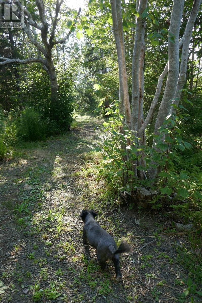 Pid#05110853 Shore Road W, Litchfield, Nova Scotia  B0S 1A0 - Photo 16 - 202614427