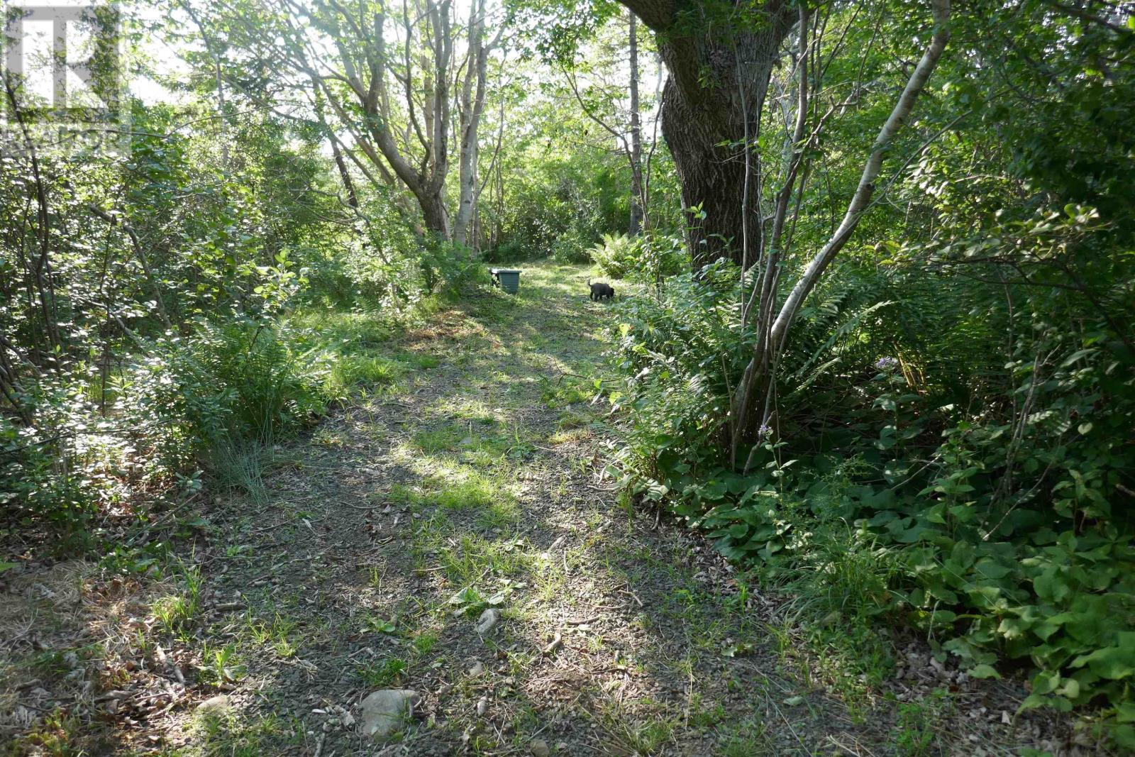 Pid#05110853 Shore Road W, Litchfield, Nova Scotia  B0S 1A0 - Photo 17 - 202614427