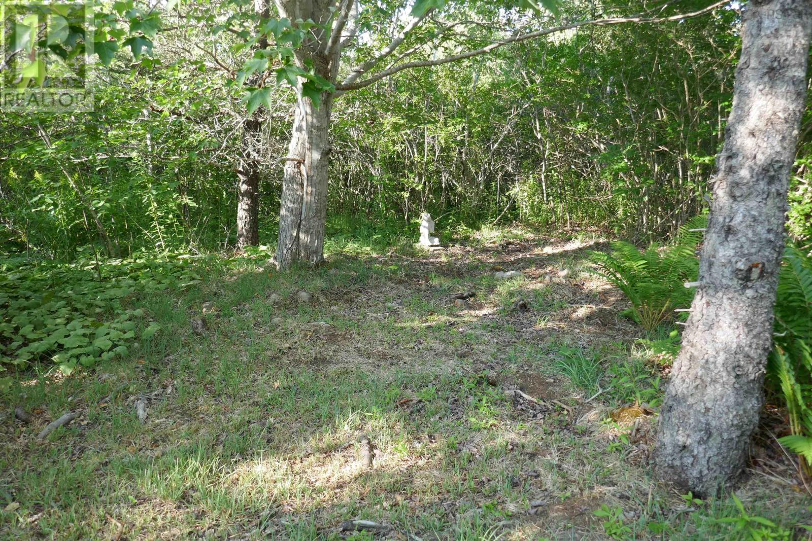 Pid#05110853 Shore Road W, Litchfield, Nova Scotia  B0S 1A0 - Photo 20 - 202614427