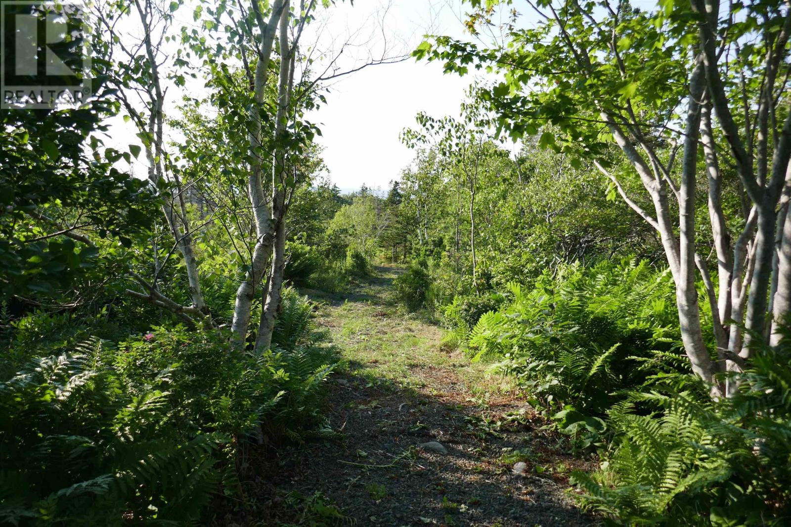 Pid#05110853 Shore Road W, Litchfield, Nova Scotia  B0S 1A0 - Photo 21 - 202614427
