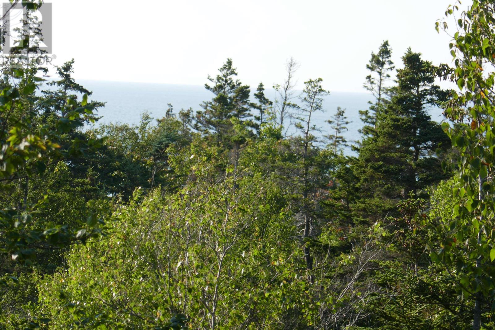 Pid#05110853 Shore Road W, Litchfield, Nova Scotia  B0S 1A0 - Photo 22 - 202614427