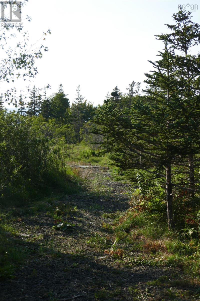 Pid#05110853 Shore Road W, Litchfield, Nova Scotia  B0S 1A0 - Photo 23 - 202614427