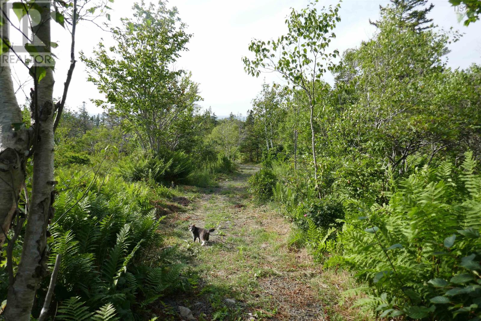 Pid#05110853 Shore Road W, Litchfield, Nova Scotia  B0S 1A0 - Photo 25 - 202614427