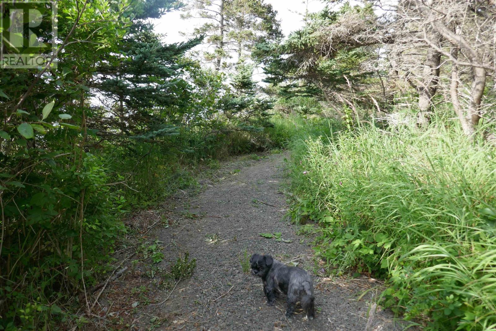 Pid#05110853 Shore Road W, Litchfield, Nova Scotia  B0S 1A0 - Photo 31 - 202614427