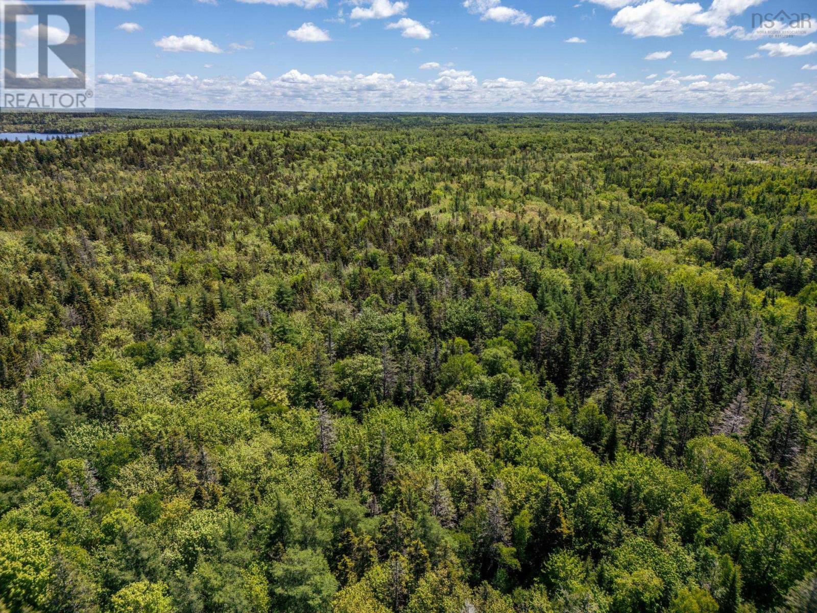 Lot Highway 1, Beaver River, Nova Scotia  B5A 5B1 - Photo 8 - 202614526