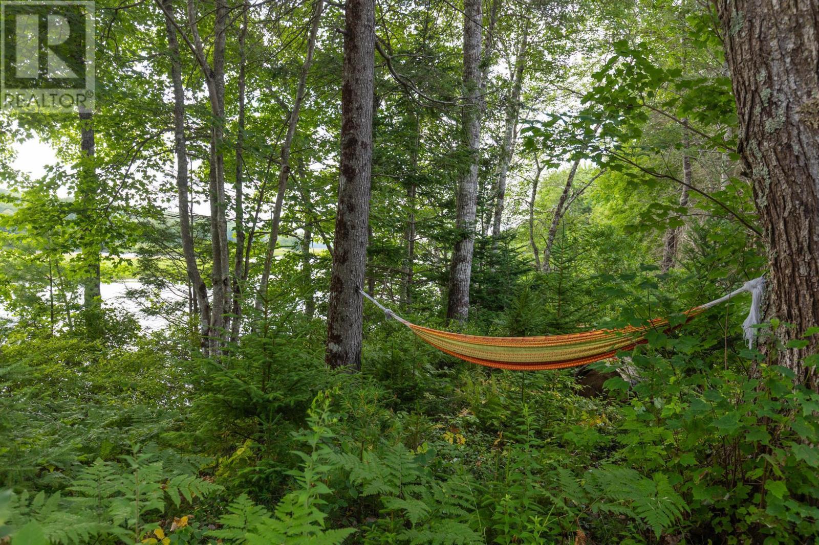 1542 Canaan Road, Canaan, Nova Scotia  B0W 3M0 - Photo 14 - 202614571