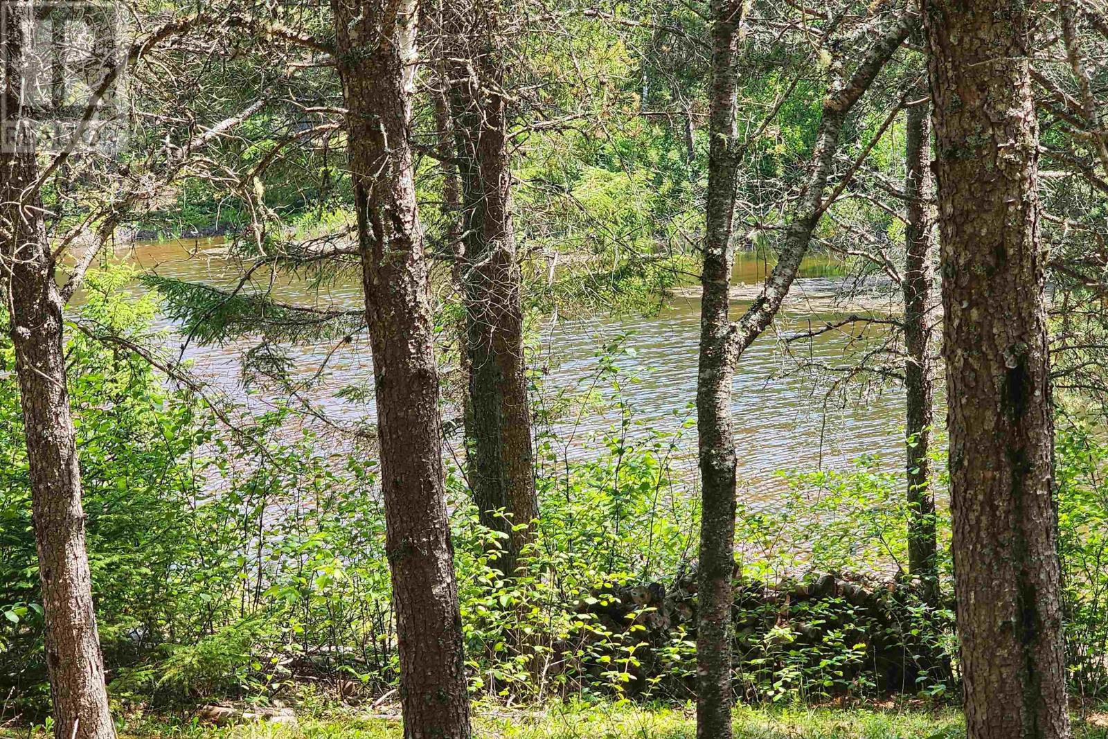 342 Reid Settlement Road, Salt Springs, Nova Scotia  B0M 1X0 - Photo 12 - 202614569