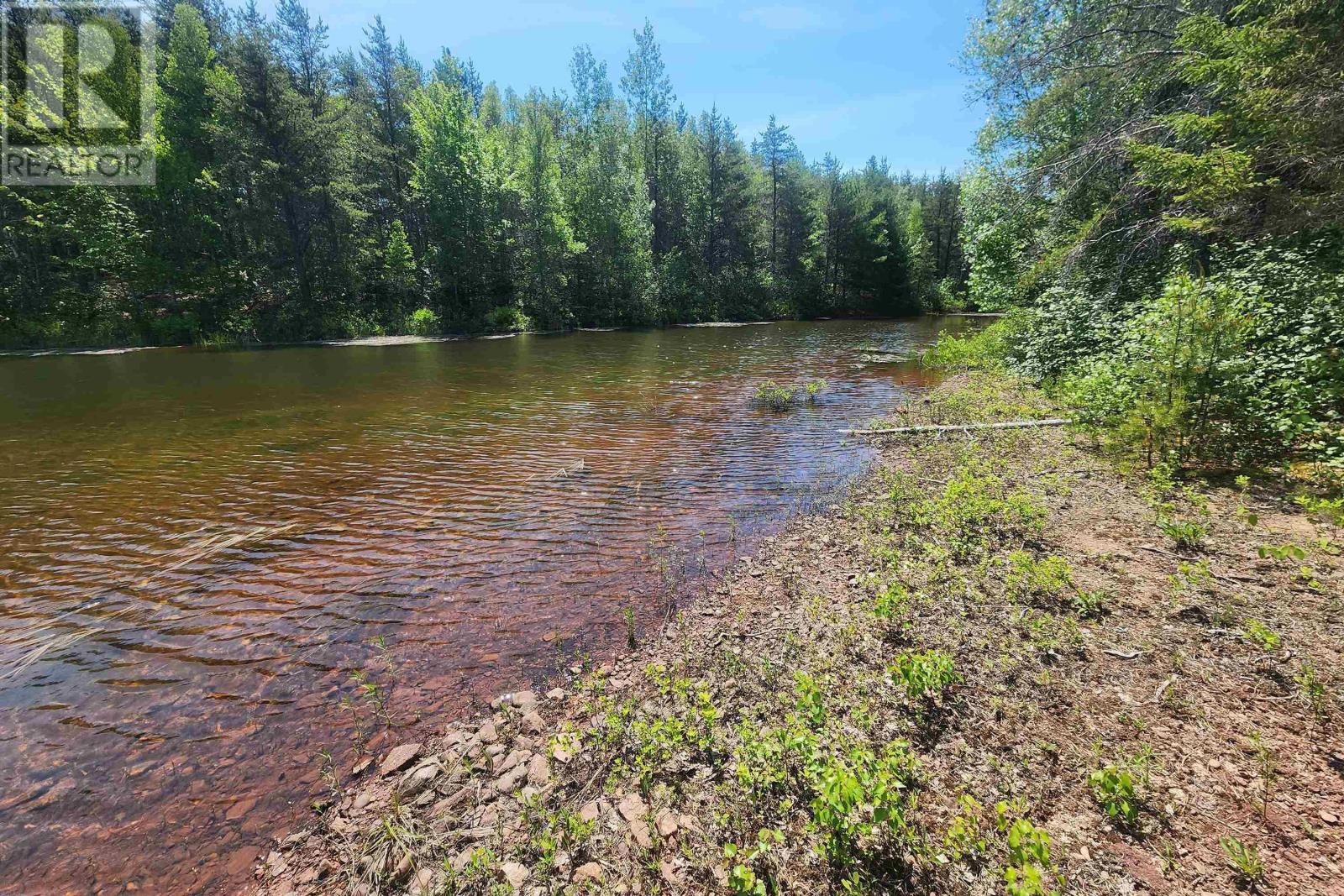 342 Reid Settlement Road, Salt Springs, Nova Scotia  B0M 1X0 - Photo 14 - 202614569